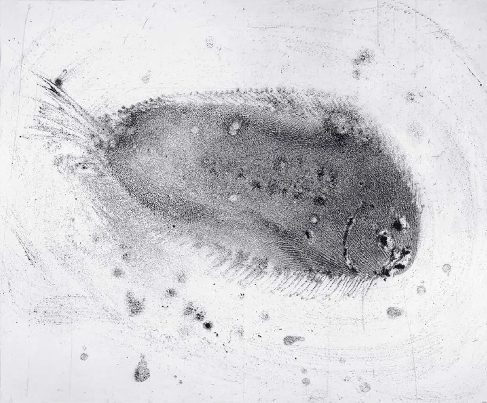 Aguafuerte Y Aguatinta Barcelo - Lanzarote 39