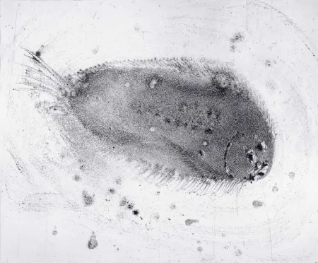 Aguafuerte Y Aguatinta Barcelo - Lanzarote 39