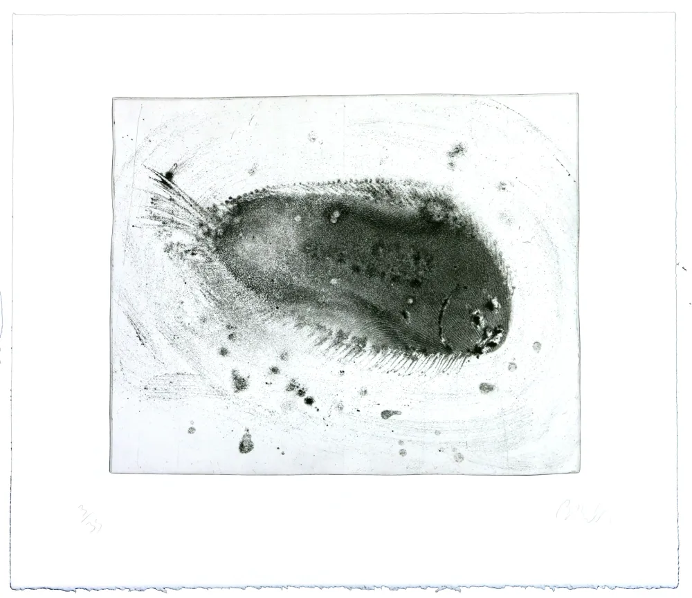 Grabado Barcelo - Lanzarote 39