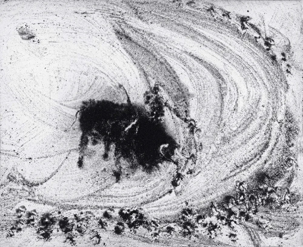 Aguatinta Barcelo - Lanzarote 48