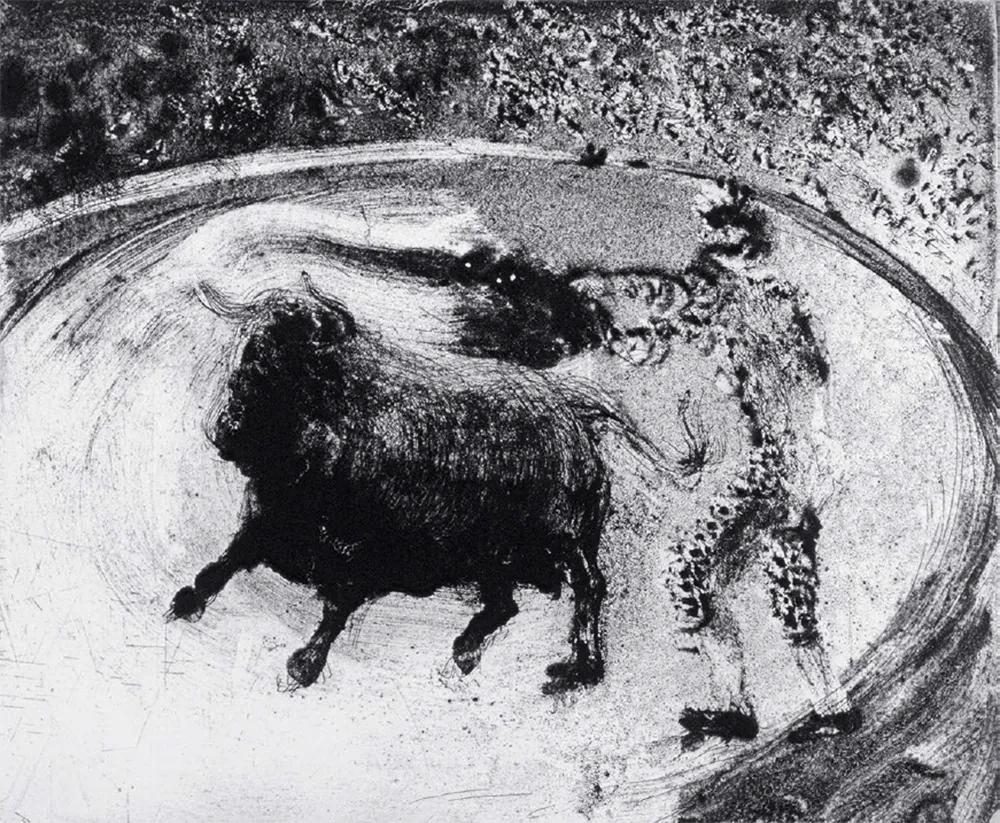 Aguatinta Barcelo - Lanzarote 49