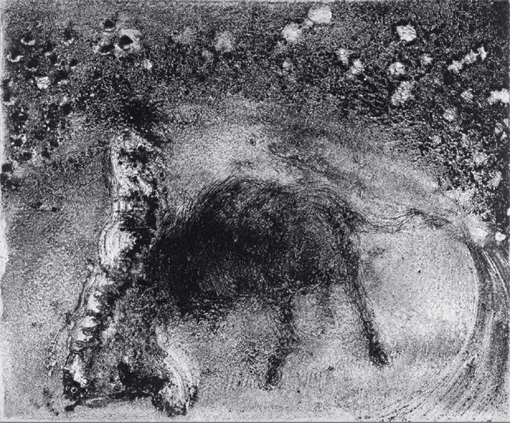 Aguatinta Barcelo - Lanzarote 50