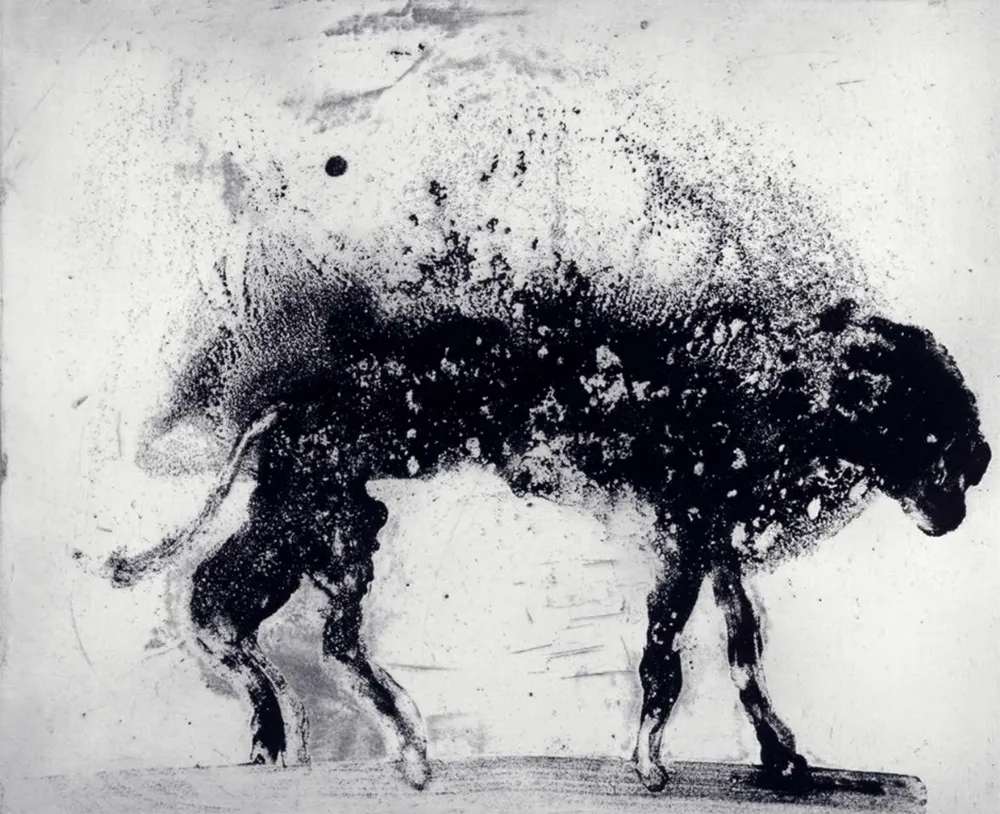 Aguafuerte Y Aguatinta Barcelo - Lanzarote 8