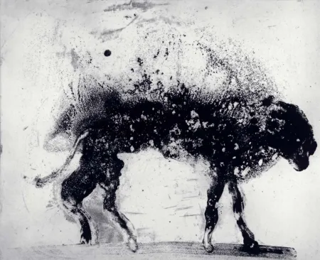 Aguafuerte Y Aguatinta Barcelo - Lanzarote 8