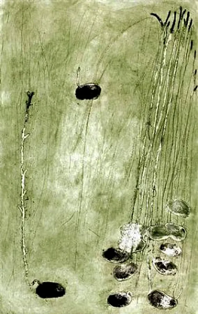 Aguafuerte Barcelo - Les Germes