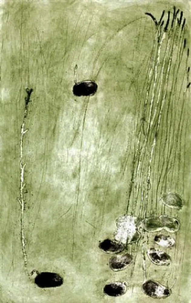 Grabado Barcelo - Les germes 