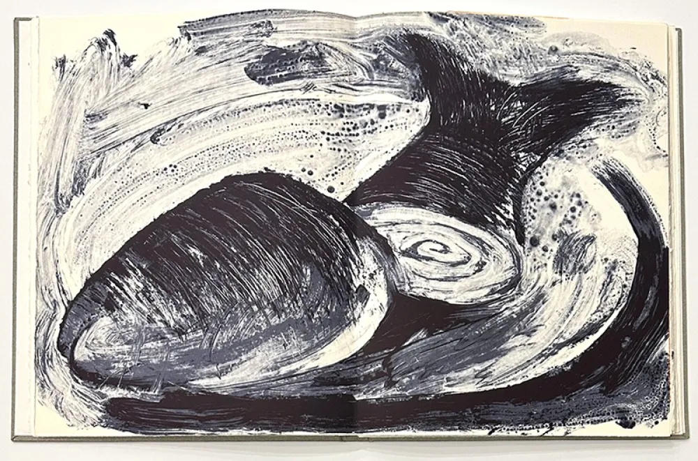 Libro Ilustrado Barcelo - Noise - Deluxe Edition