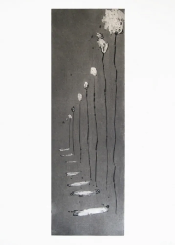 Grabado Barcelo - Réverbères