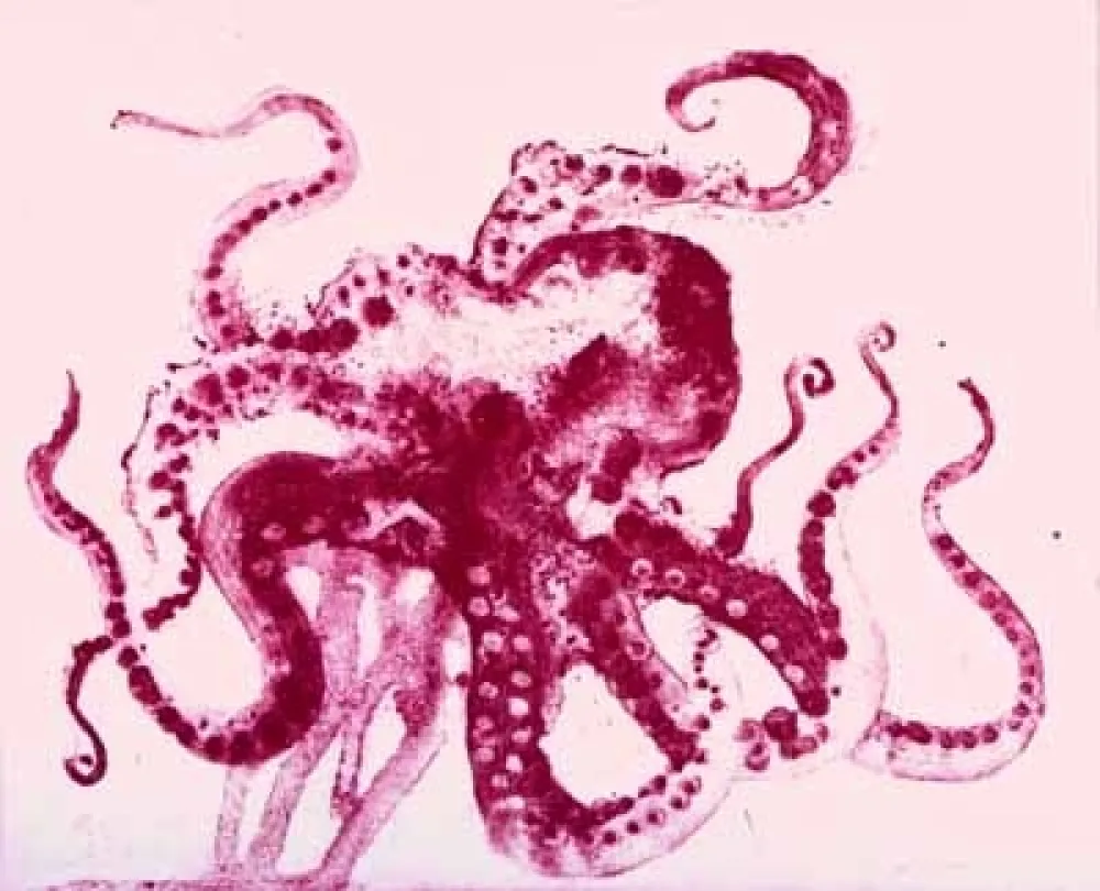 Aguatinta Barcelo - Serie Lanzarote 13