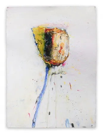 Sin Técnico Baribeau - Stem #204