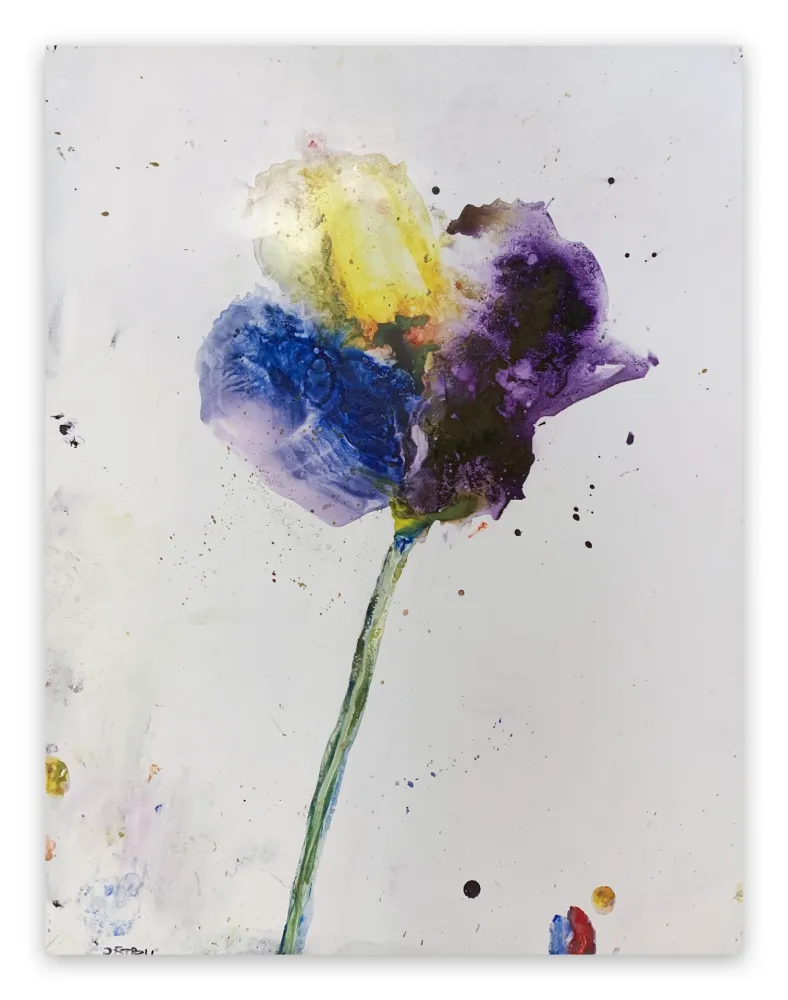 Sin Técnico Baribeau - Stem #28