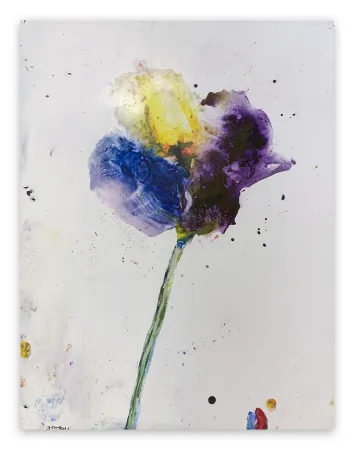 Sin Técnico Baribeau - Stem #28