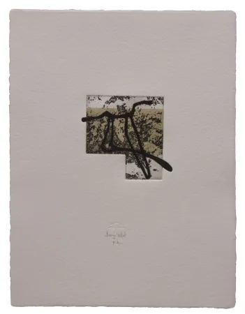 Aguafuerte Y Aguatinta Baroja-Collet - Animal