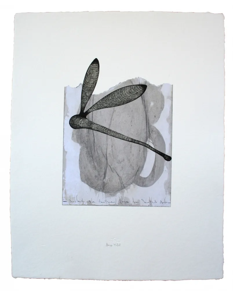 Múltiple Baroja-Collet - Collage