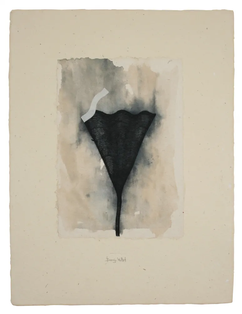 Múltiple Baroja-Collet - Collage