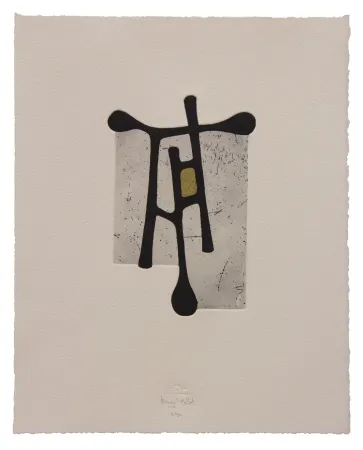 Aguafuerte Y Aguatinta Baroja-Collet - Contraseña