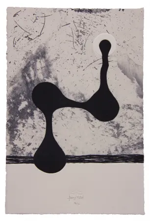 Aguafuerte Y Aguatinta Baroja-Collet - Free them all