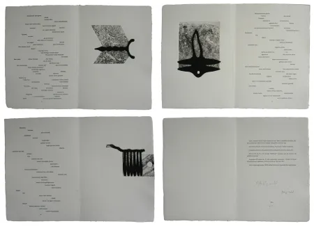 Libro Ilustrado Baroja-Collet - Mallarmeren betazalak