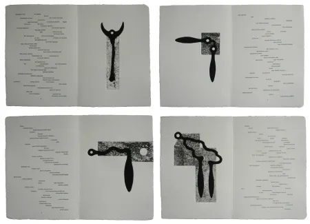 Libro Ilustrado Baroja-Collet - Mallarmeren betazalak