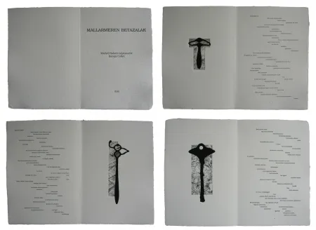 Libro Ilustrado Baroja-Collet - Mallarmeren betazalak