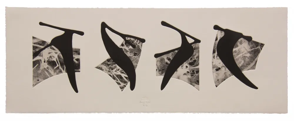 Aguafuerte Y Aguatinta Baroja-Collet - Neguko kronika