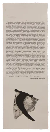 Libro Ilustrado Baroja-Collet - Neguko kronika hegoaldeko ordeketan