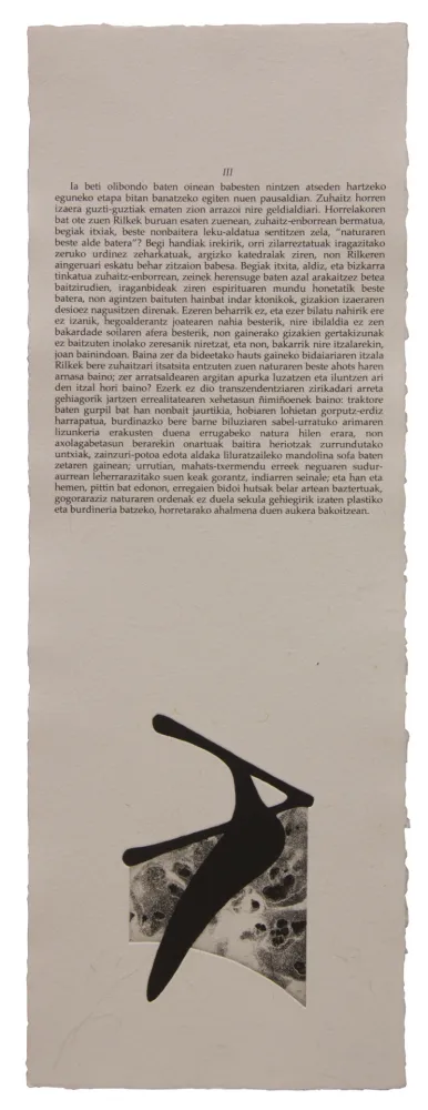 Libro Ilustrado Baroja-Collet - Neguko kronika hegoaldeko ordeketan