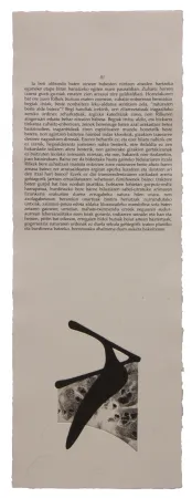 Libro Ilustrado Baroja-Collet - Neguko kronika hegoaldeko ordeketan