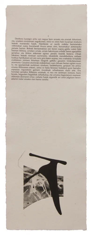 Libro Ilustrado Baroja-Collet - Neguko kronika hegoaldeko ordeketan