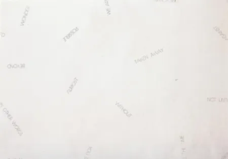 Litografía Barry - Sans titre