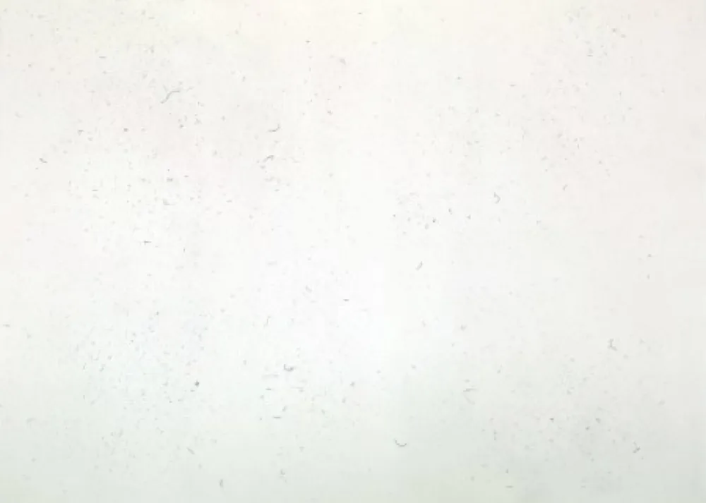 Grabado Bartolini - Dust Chaser 1