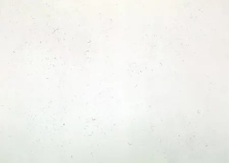 Grabado Bartolini - Dust Chaser 1