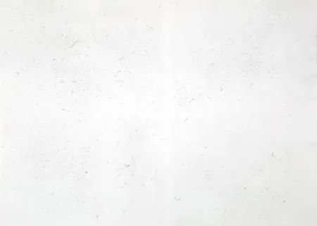 Grabado Bartolini - Dust Chaser 2