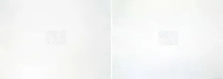 Grabado Bartolini - Dust Chaser