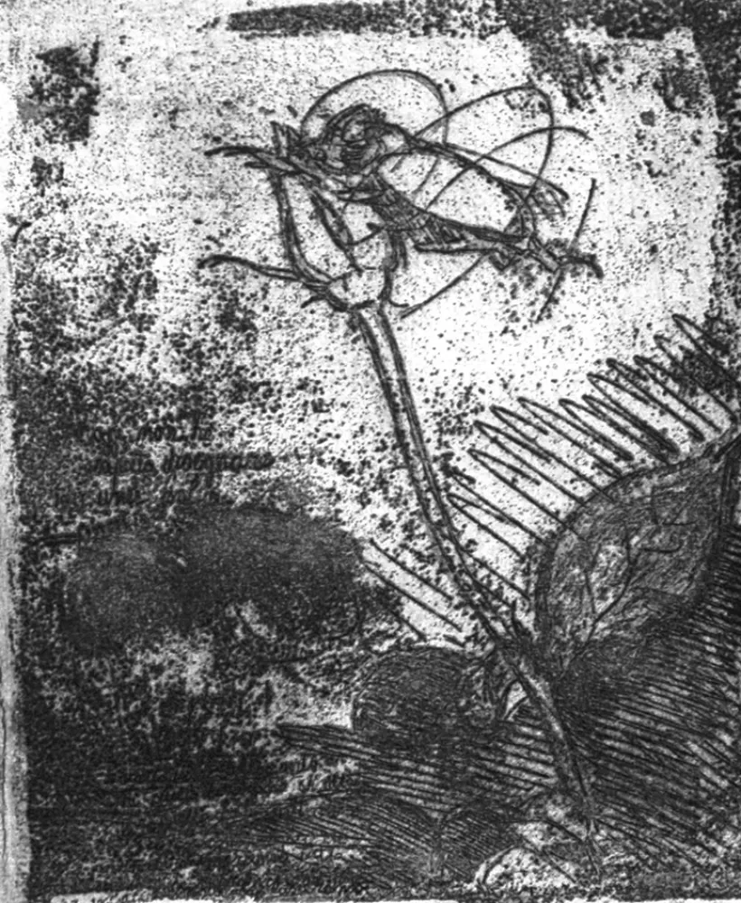 Aguafuerte Bartolini - La rosa