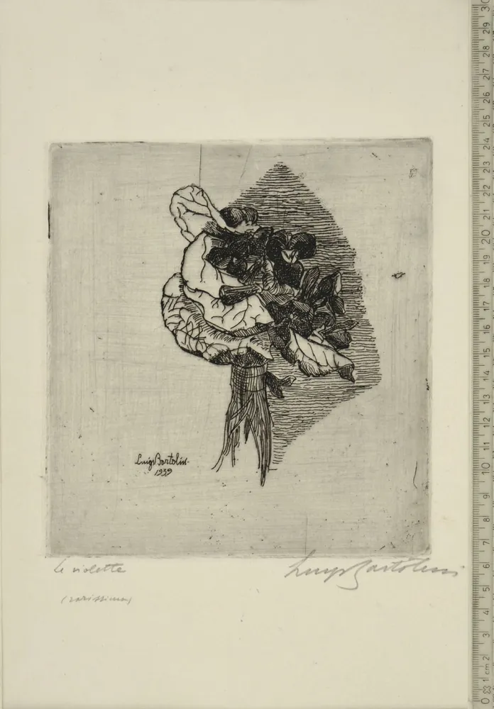 Aguafuerte Bartolini - LE VIOLETTE