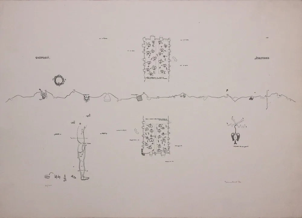 Litografía Baruchello - Campioni