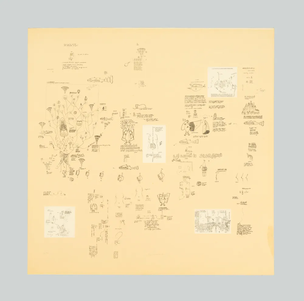 Serigrafía Baruchello - Senza titolo