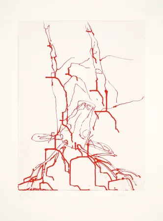 Aguatinta Baselitz - 