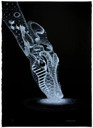 Litografía Baudelocque - Biche