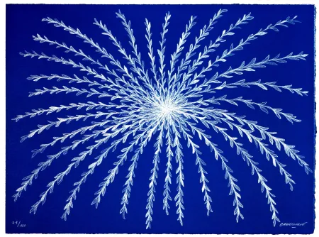 Litografía Baudelocque - Etoile végétale