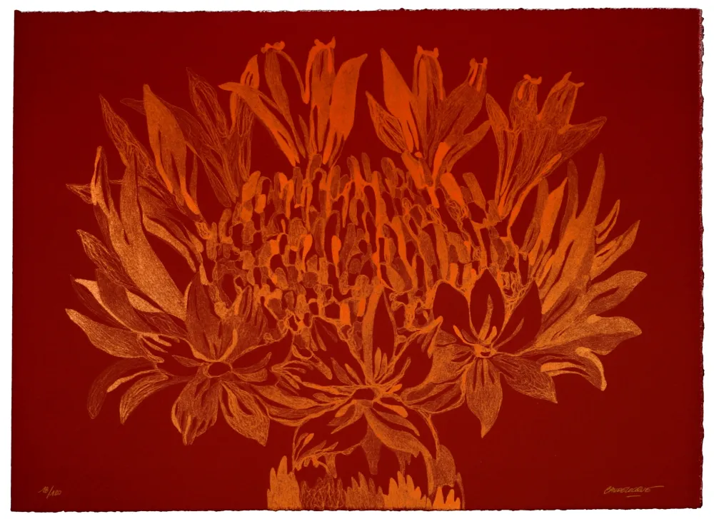 Litografía Baudelocque - Lys