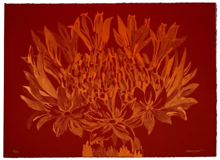 Litografía Baudelocque - Lys