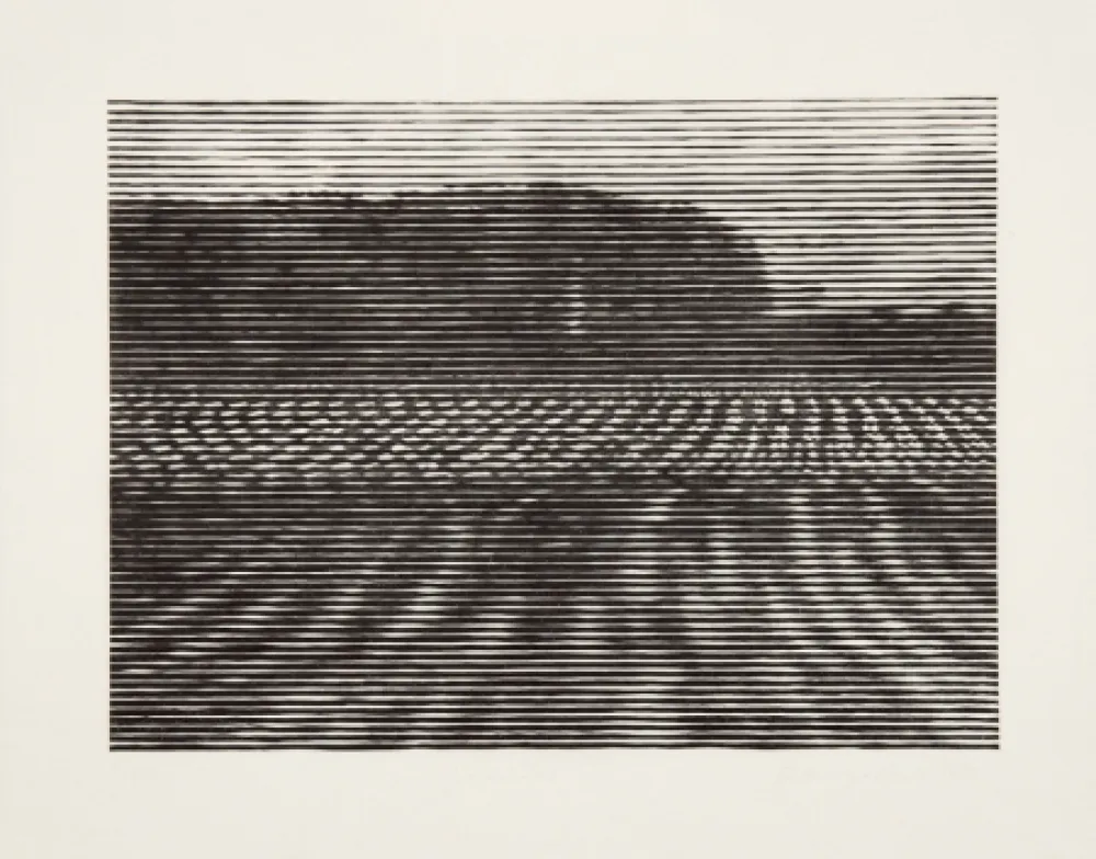 Grabado En Madera Baumgartner - Gelände