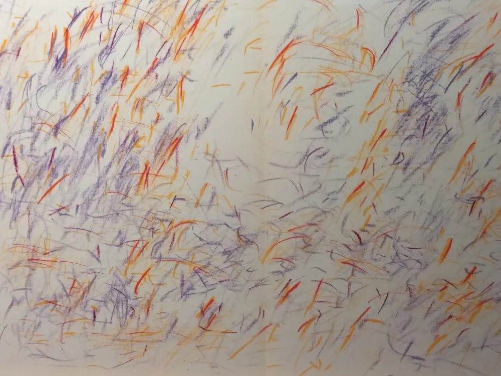 Libro Ilustrado Bazaine - DLM 170