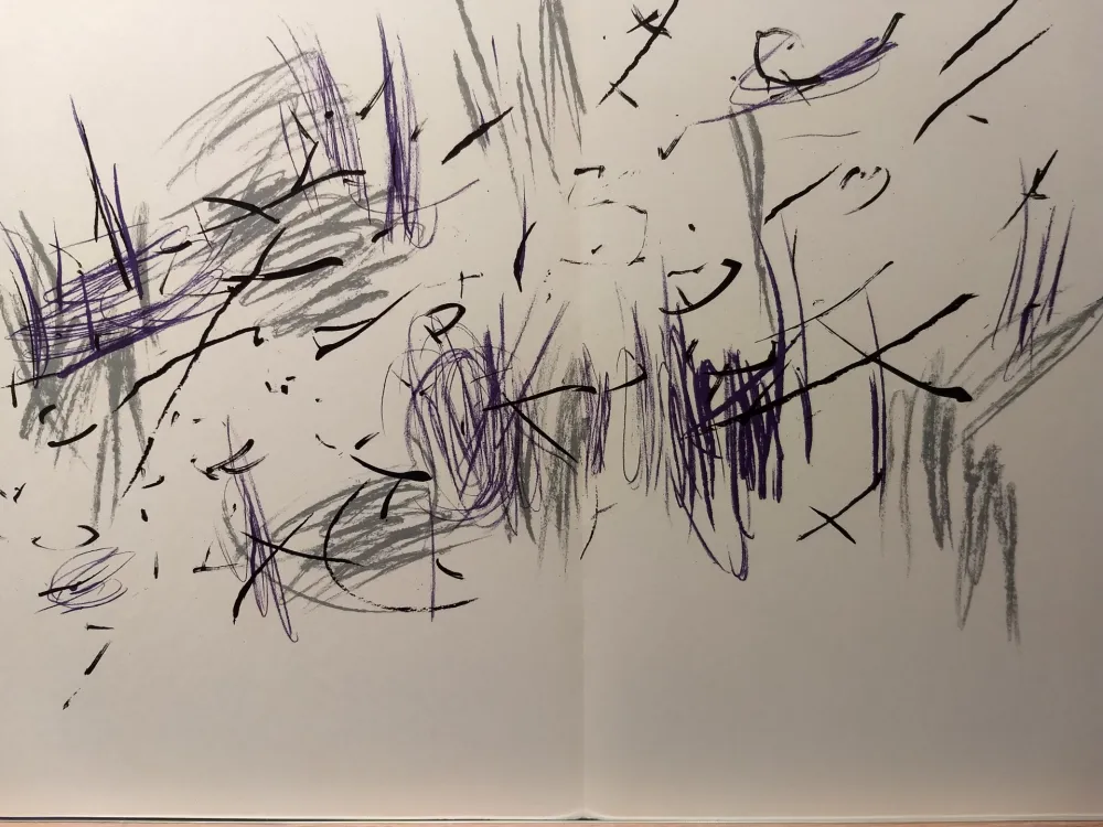 Libro Ilustrado Bazaine - DLM 197