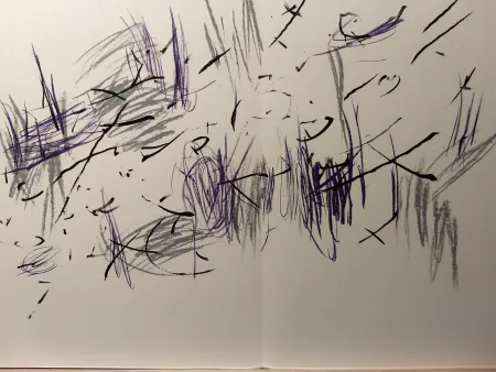 Libro Ilustrado Bazaine - DLM 197