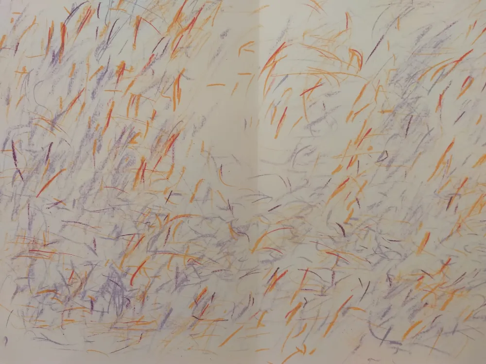 Libro Ilustrado Bazaine - Edition Tete DLM 170