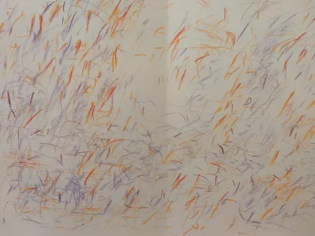 Libro Ilustrado Bazaine - Edition Tete DLM 170