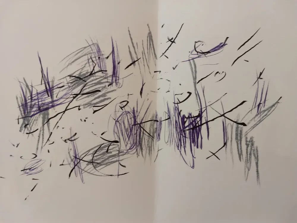 Libro Ilustrado Bazaine - Edition Tete DLM 197